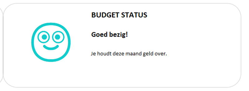 De Budgetplanner - Afbeelding 3